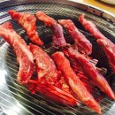 또고기