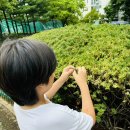 여름곤충 탐구생활 이미지