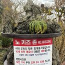 빌레하임 | 제주도 한식 맛집: 빌레와너드랑