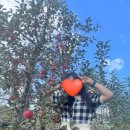 하늘샘농장 이미지