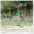 황골농장 이미지