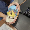 정안타이어 | 부산 턱관절 교정, 전문 한의원에서는 어떻게 치료할까? <실제 사례>