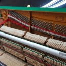 능동중학교 이미지