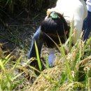 추억농장 이미지