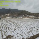 발산리 태양광발전소 이미지