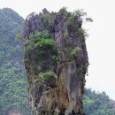 수수께끼 이미지