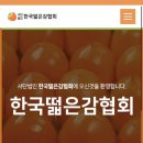 우리나라에 있는 독특한 단체 &#39;한국떫은감협회&#39;와 &#39;한국단감연합회&#39; 이미지