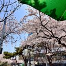 아울리버 이미지