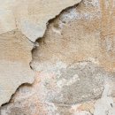 성림안전 이미지