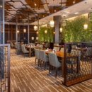 소노캄 고양 이미지