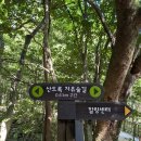 산도록 | 제주 한라산 뷰 명소 추천｜서귀포치유의숲 시오름에서 마주한 감격의 풍경