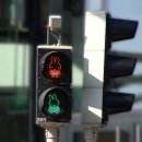 miffy traffic light 이미지