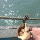 자원목장 이미지