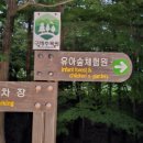 구례수목원 유아숲체험원 이미지