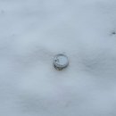 하늘궁 개명펜션 | 12월 요약 / 여름인간의 겨울나기