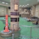 월드아쿠아 이미지