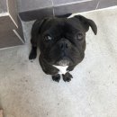 유앤아이동물병원 이미지