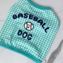 더딸랑 네이버블로그
