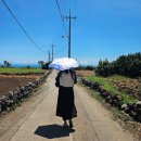 서귀동-32 | 2025 뚜벅이 제주 호캉스 여행(ft.그랜드 조선 제주)