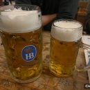 뮌헨하우스 | 호프브로이하우스 뮌헨 Hofbräuhaus München 맥주 메뉴 추천 후기 예약
