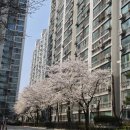 테크노타운 앞 사거리 | 광명 8억대 아파트 광명한진타운, 7호선 초역세권 저라면 여기삽니다.