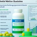 천천온누리약국 이미지