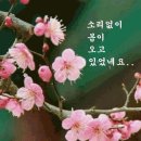 #[아침을여는지혜]-2025년 2월 27일-주요뉴스 이미지