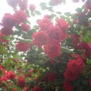 도당공원 이미지