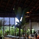 아나푸드 이미지