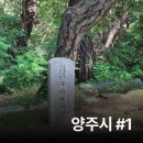 무학농원 | 나의 양주시 여행 #1