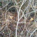 착한대장농산 이미지