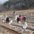 꿈꾸는동산 이미지