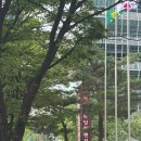 한국 컨벤션 웨딩 | (26년 가을) 여의도웨딩컨벤션 상담 후기 광고X | 단독홀 가성비 추천 | 견적 공유