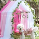 신우동물약품 이미지