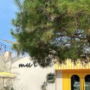 인계동 899 | 양평 애견카페 봄철 강아지 여행지 비교 TOP 10 비교 정리