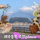 전기차충전소_구좌농공단지(제주이야기) | 제주동쪽여행 ㅣ 제주도로 당신을 초대합니다 우도 성산일출봉 상어고기 레코드가게 동쪽게하