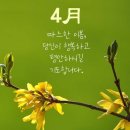 고운빛