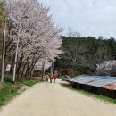 팔공산왕건길 1코스 이미지