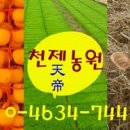 세중초교 병설유치원 | [귀농체험] 젊은 귀농 희망자, 귀농체험 희망자를 모집 합니다