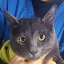 블루동물종합병원 이미지