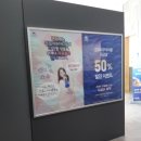 경포아쿠아리움박물관 이미지