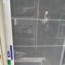 로취사이언스