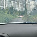 천안 애견카페 “멍마일” 후기, 강아지도 보호자도 만족했던 애카