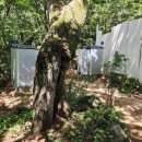 중산리 간이화장실 이미지