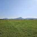 홀로키친 이미지