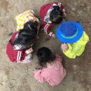 서낭당근린공원 이미지