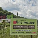 팔봉산정육