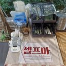 스타일펫츠 | 파주 애견동반 대형카페 피터펫츠 내유점 서울근교 드라이브 카페 추천