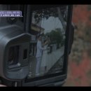 부부담다