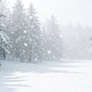 동대문한의원 이미지